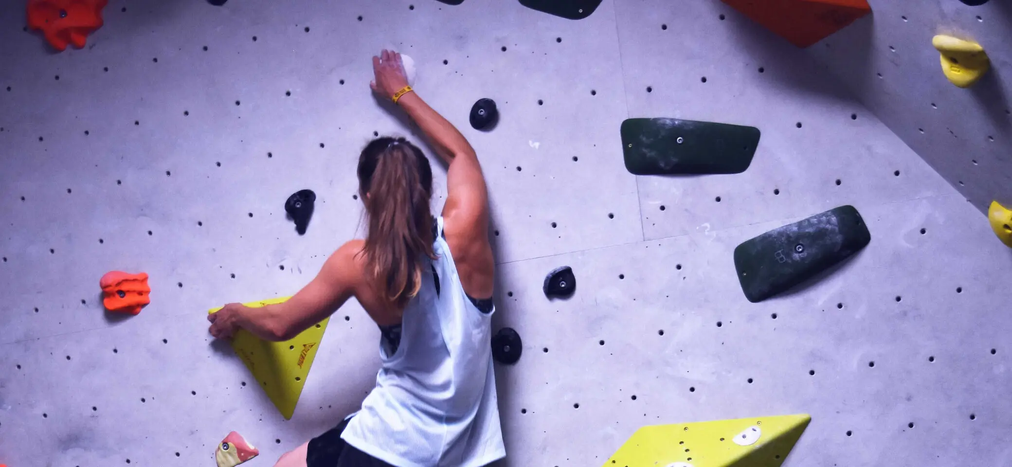 © Kletterwerk Radolfzell