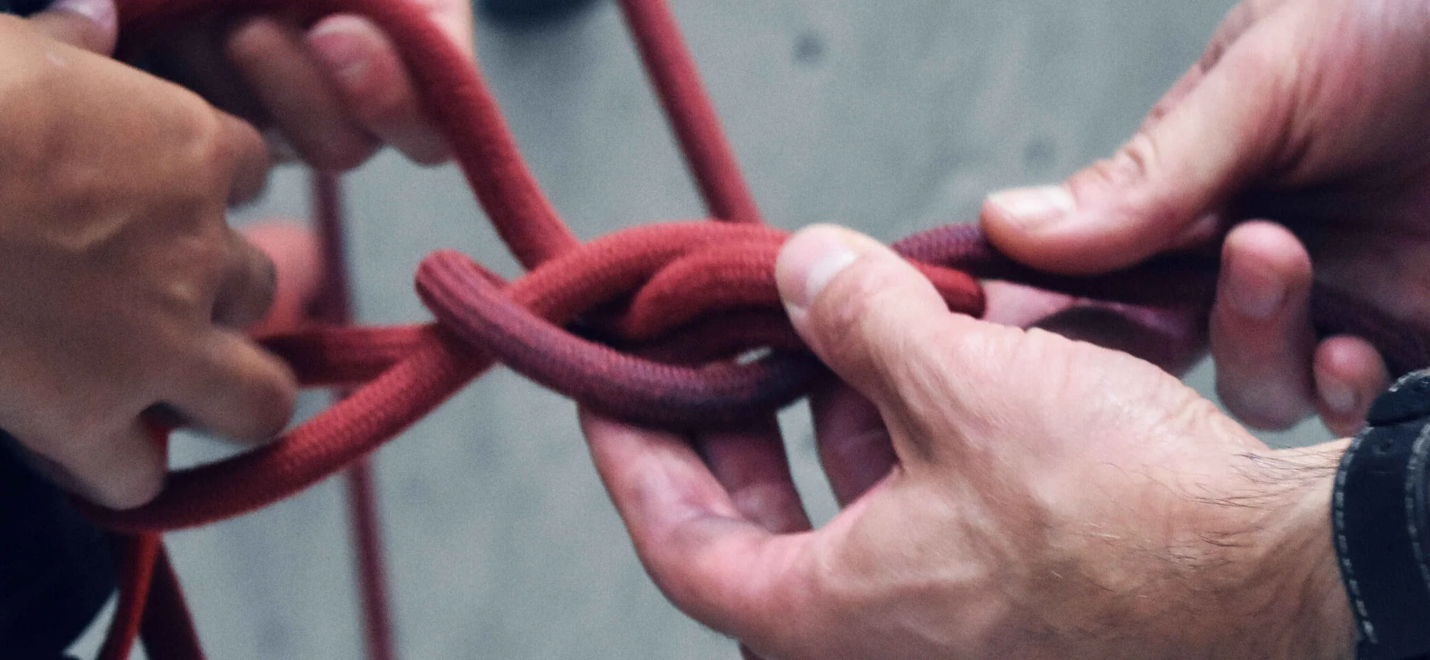 © Kletterwerk Radolfzell