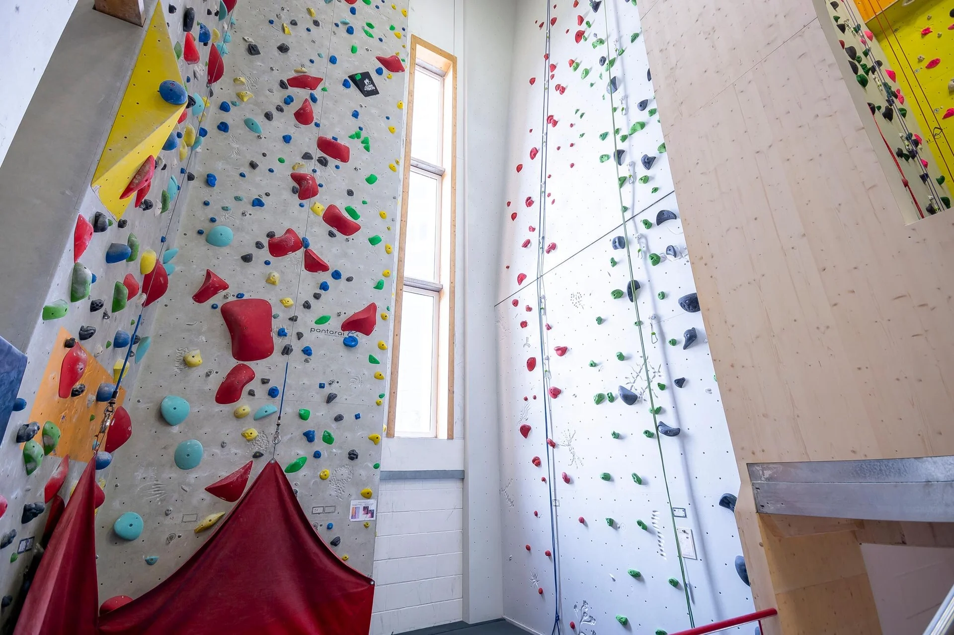 Innenansicht einer modernen Kletterhalle mit bunten Kletterwänden und verschiedenen Routen, mit Selbstischerungsanlage. | © DAV Konstanz, Michael Dörfer