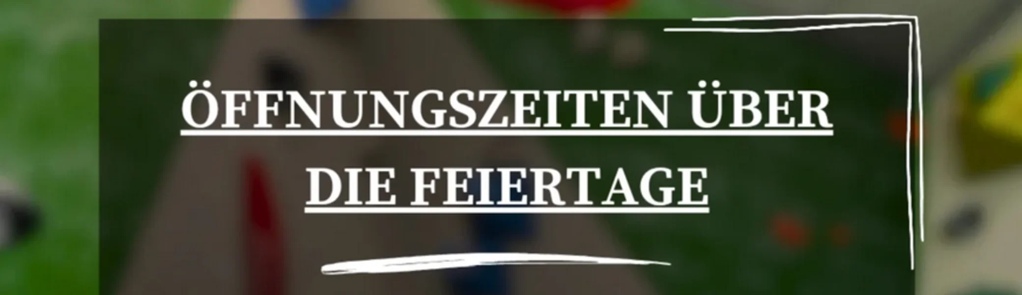 © Kletterwerk Radolfzell